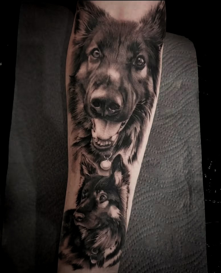 Dog Portrait
