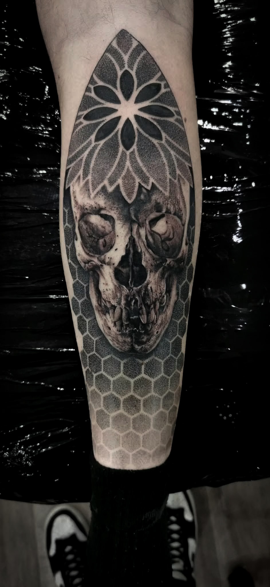 Skull & Geometry