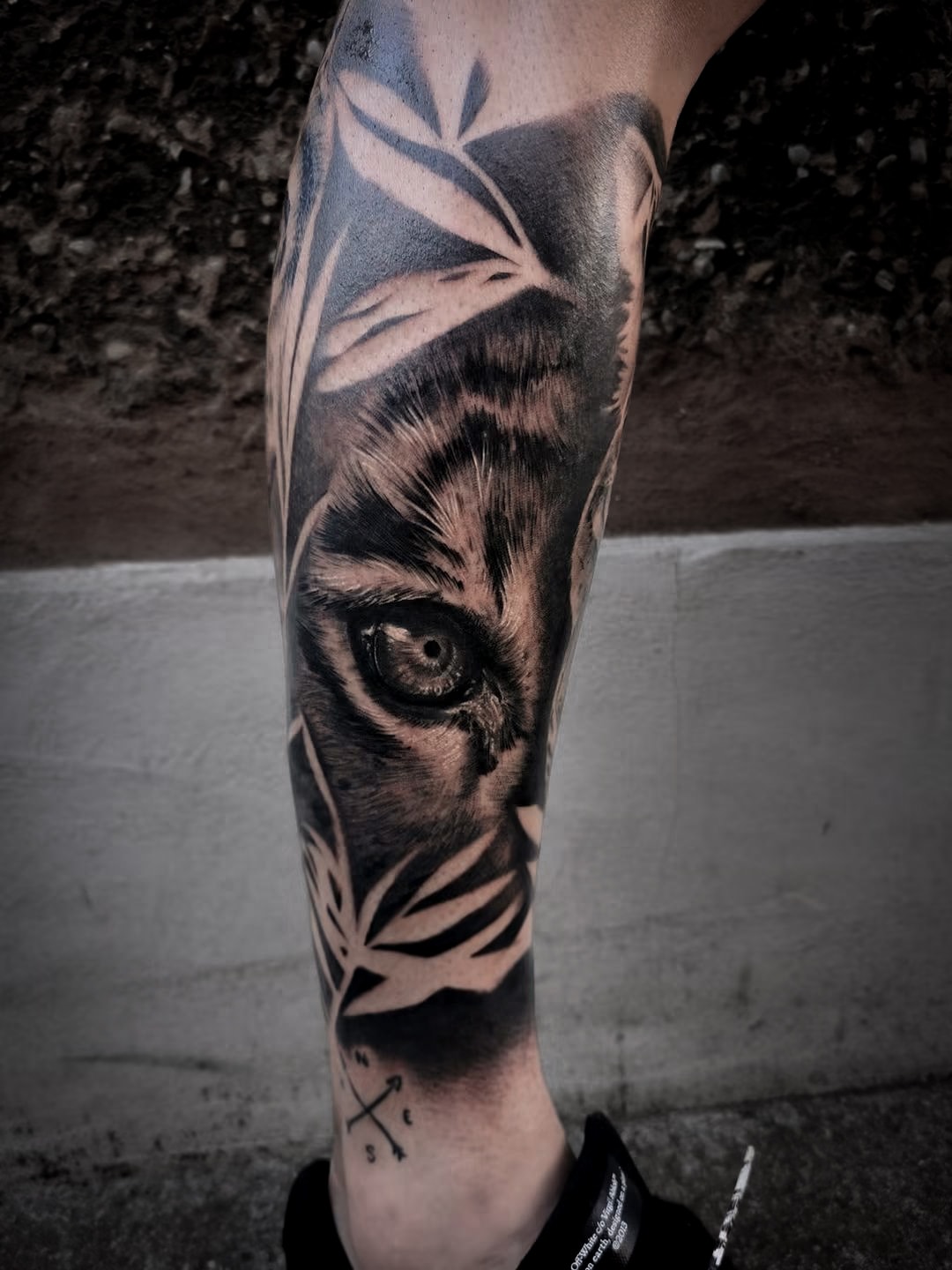 Tigers Eye tattoo