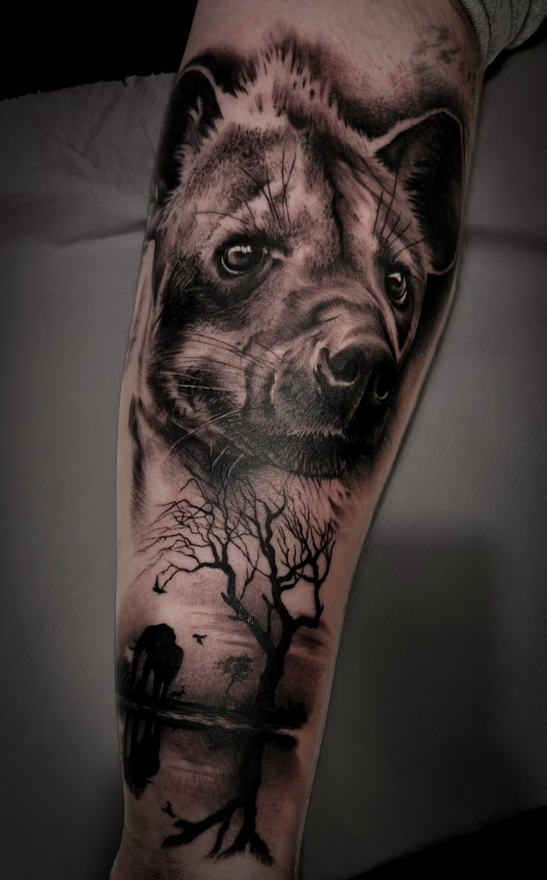 Hyena